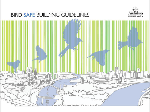 BirdSafe Buildings