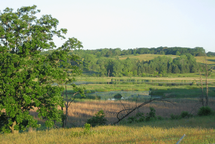 Saving Important Bird Areas | Audubon Upper Mississippi River